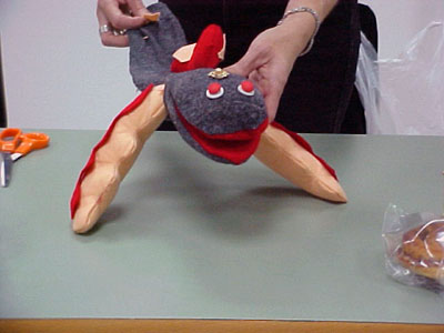 example of a final sockpuppet